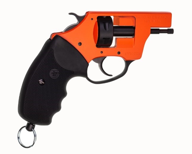 CHARTER ARMS PRO 209 209 PRIMER ALUMINUM 6  STANDARD ORANGE BLACK PASSIVATE 82090 - Taurus Savings